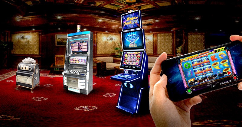 Experience Thrilling Gaming at Mr Cat Casino & Sportsbook 1830498455 Experience Thrilling Gaming at Mr Cat Casino & Sportsbook 1830498455